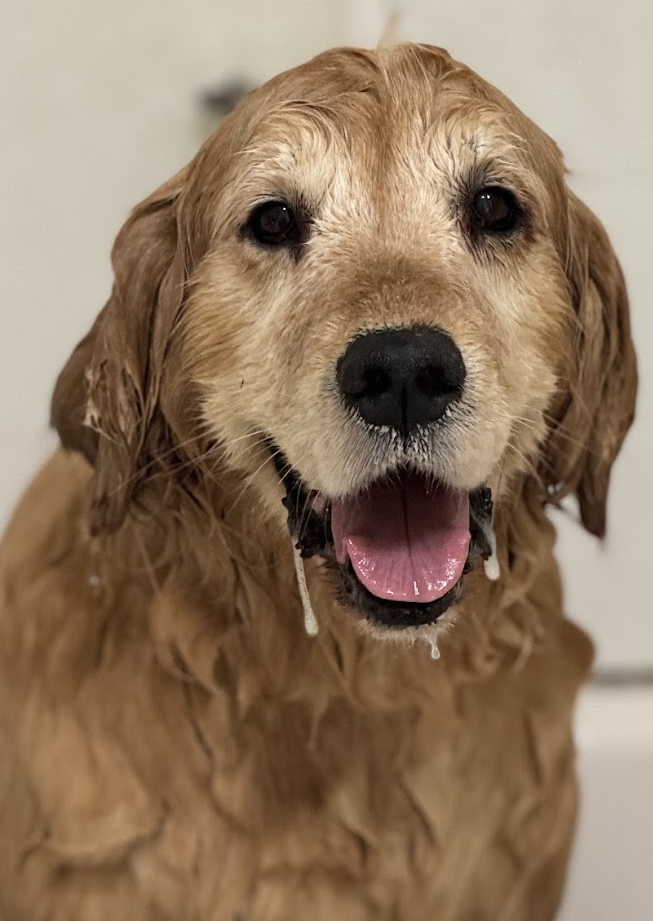 Annie
