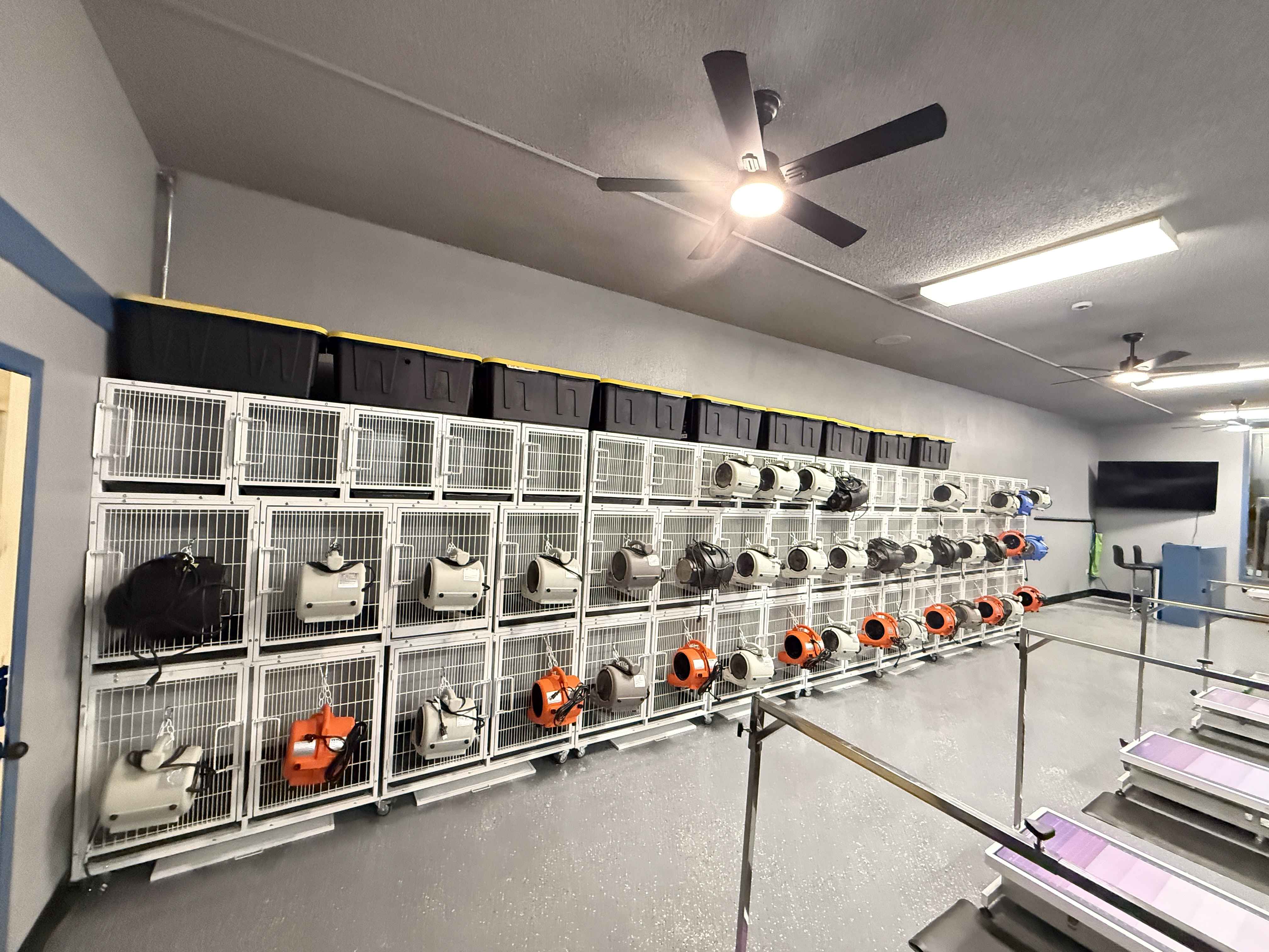 Shop remodel photo 3