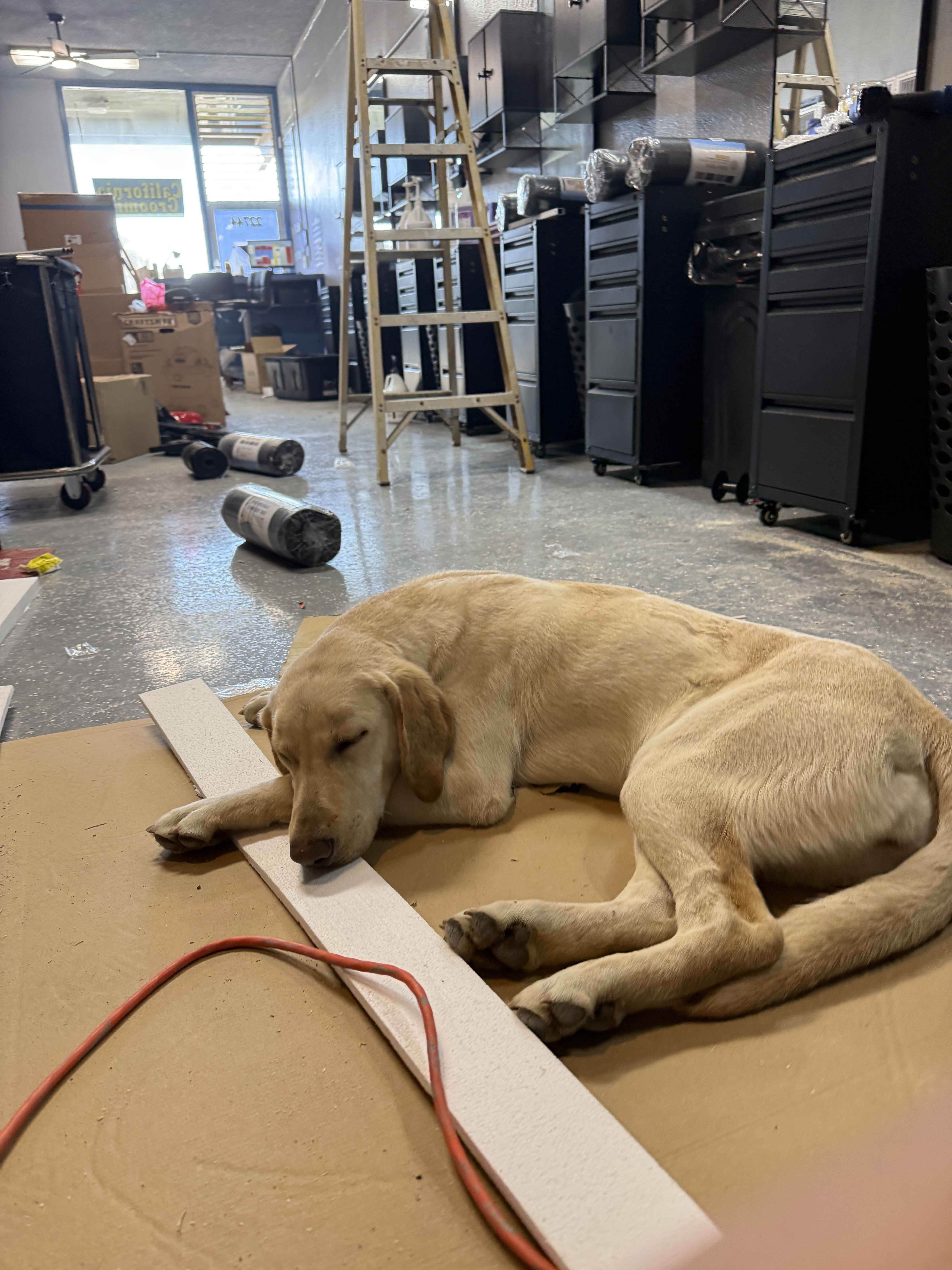 Shop remodel photo 7